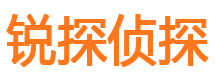 清城侦探公司